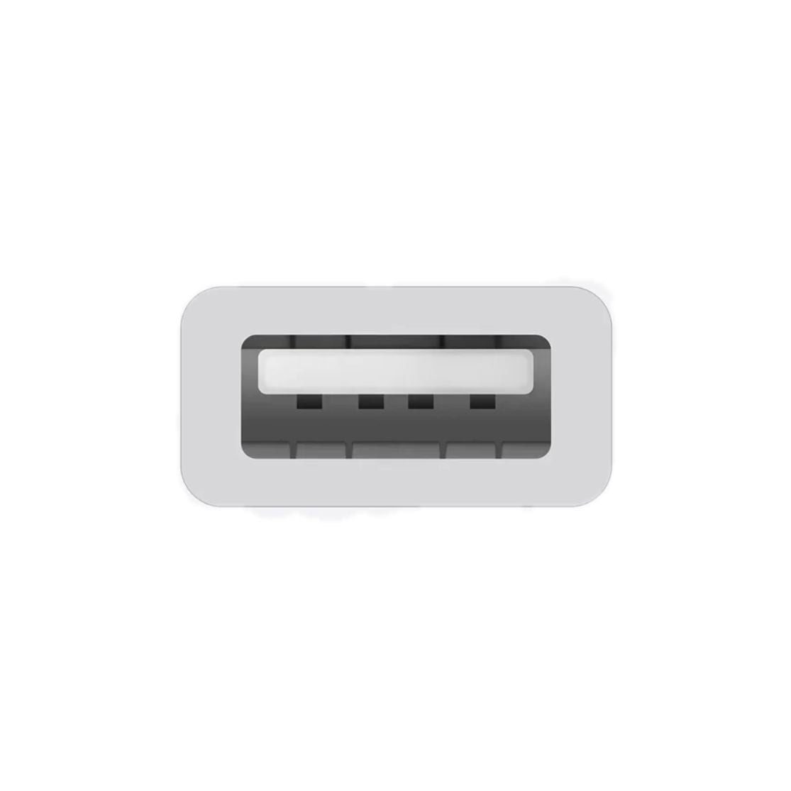 Apple USB-C to USB Adapter