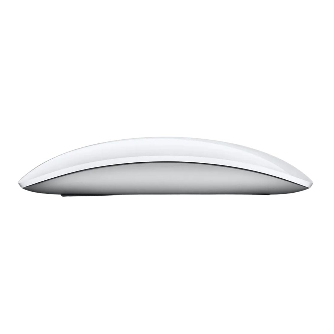 Magic Mouse 2